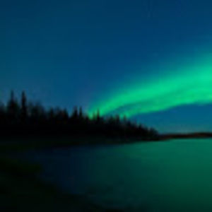 Meet your Posher, Cecilia